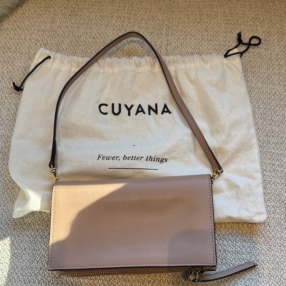 Cuyana Blush Leather Clutch